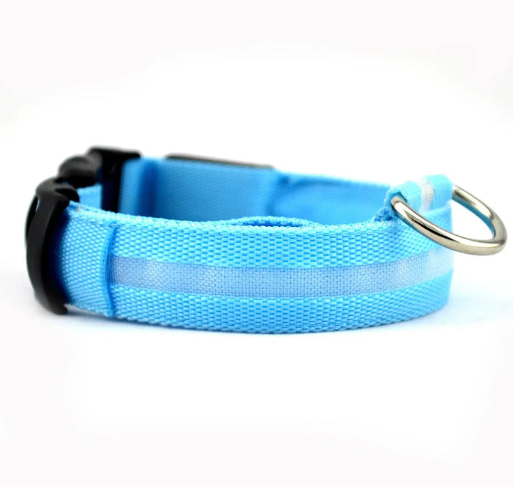 Pet LED Collar