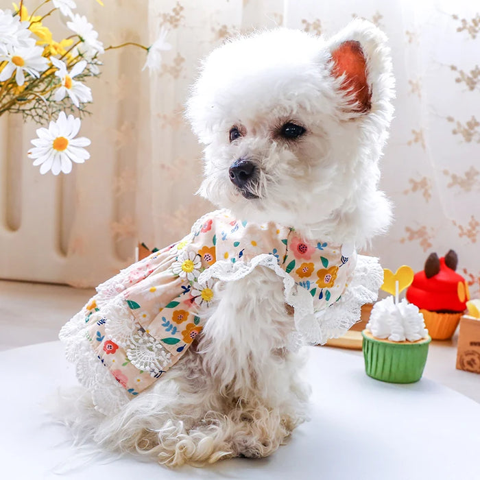 Comfortable Daisy Doggy Dress