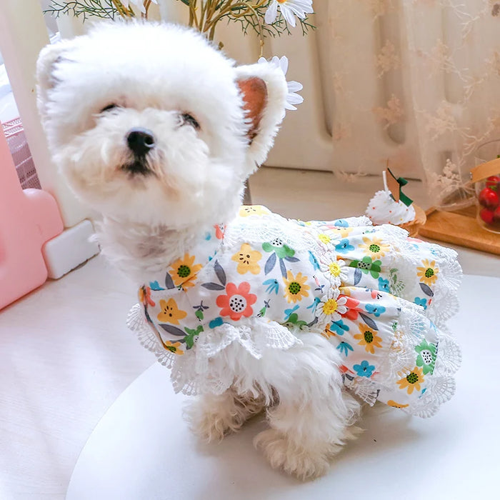 Comfortable Daisy Doggy Dress